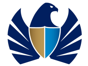 dubai-customs